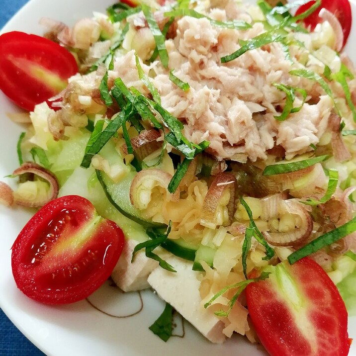 ドレッシング不要☆香味野菜とツナの豆腐サラダ♪